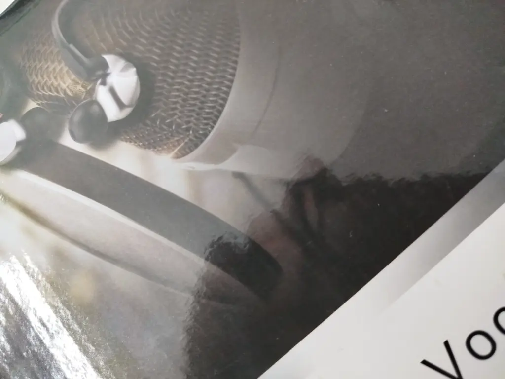 Micrófono de condensador profesional 